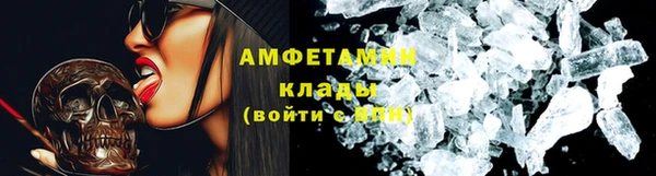 ПСИЛОЦИБИНОВЫЕ ГРИБЫ Горняк