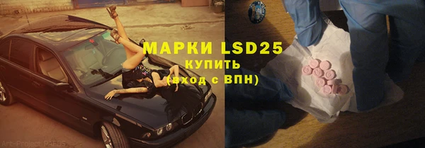 ПСИЛОЦИБИНОВЫЕ ГРИБЫ Горняк