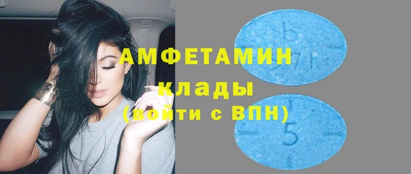 ПСИЛОЦИБИНОВЫЕ ГРИБЫ Горняк