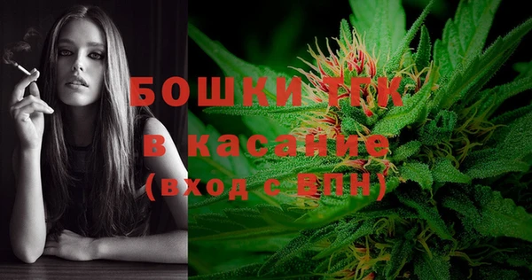 ПСИЛОЦИБИНОВЫЕ ГРИБЫ Горняк