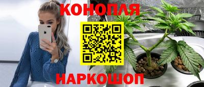 ГАЛЛЮЦИНОГЕННЫЕ ГРИБЫ Будённовск