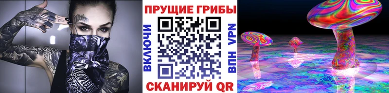 Псилоцибиновые грибы Psilocybe  Елизово 