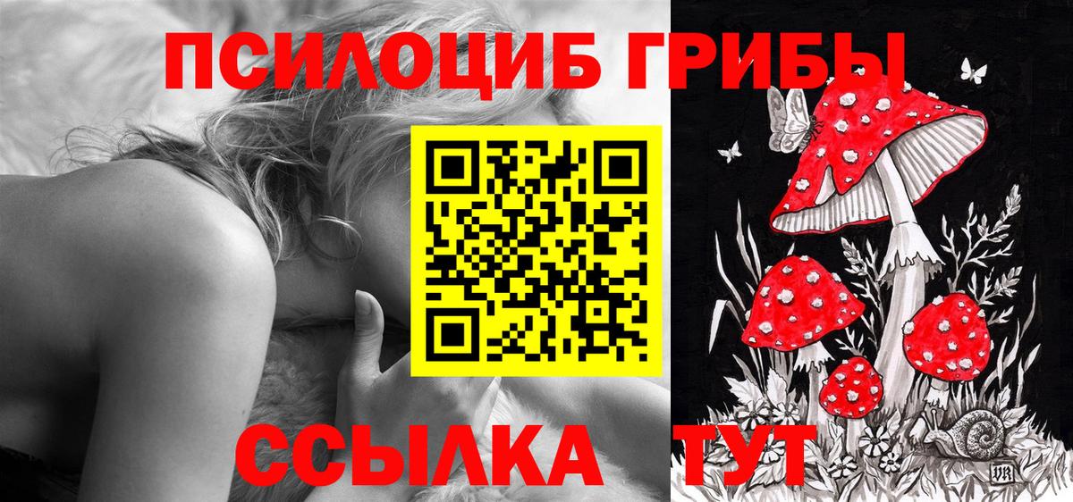 Галлюциногенные грибы GOLDEN TEACHER Елизово