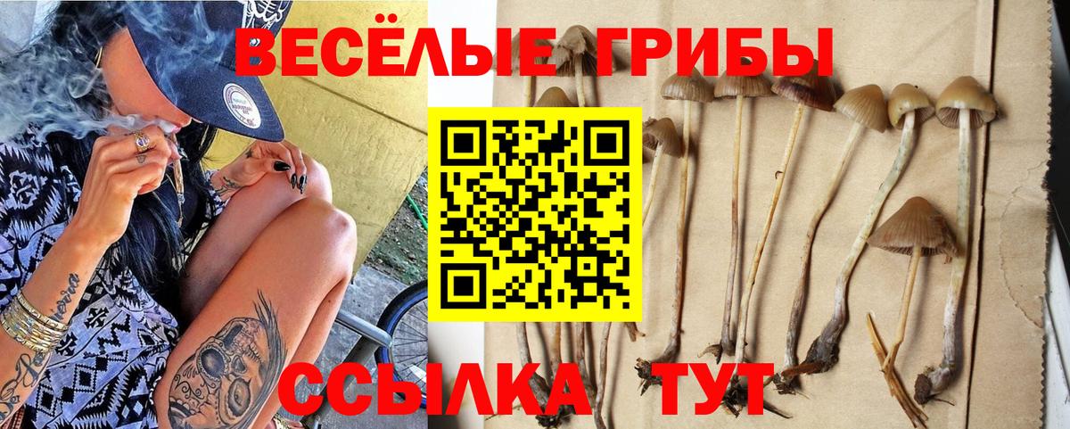 Псилоцибиновые грибы Psilocybe  Вход с VPN  Галлюциногенные грибы GOLDEN TEACHER  Елизово 