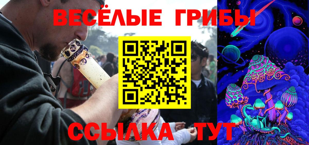 Псилоцибиновые грибы Cubensis Елизово