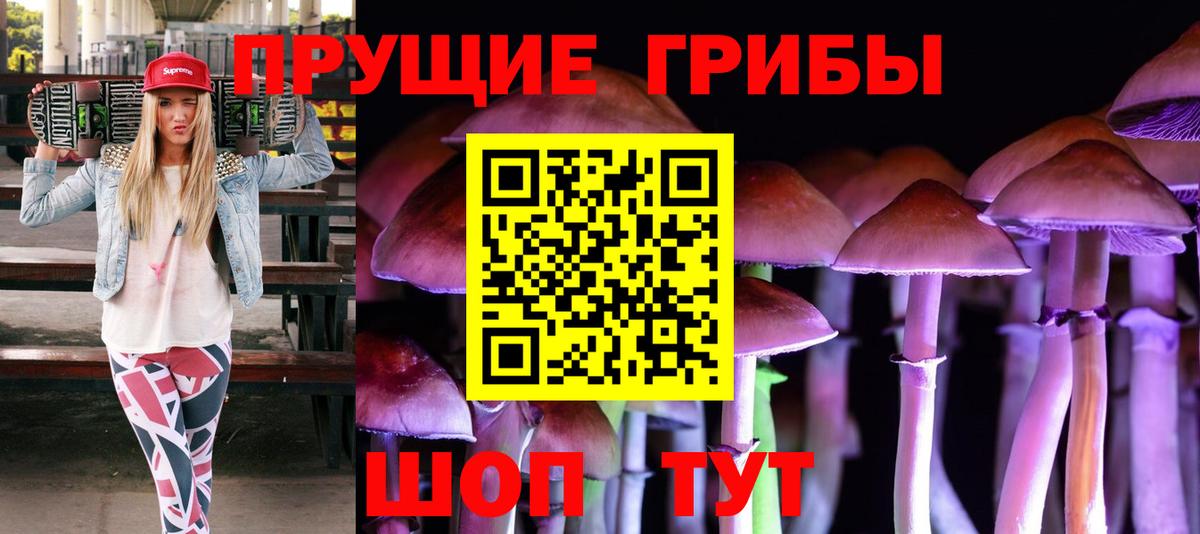 Псилоцибиновые грибы Psilocybe  Галлюциногенные грибы MAGIC MUSHROOMS  Елизово 