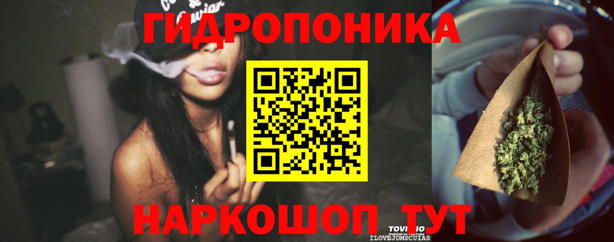  COCAIN Елизово